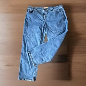 JMS Just My Size Womens 40x27 Y2K Straight Leg Jeans Plus Size Momcore Denim